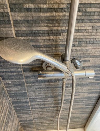 Showerhead and controls mounted on tiled bathroom wall.