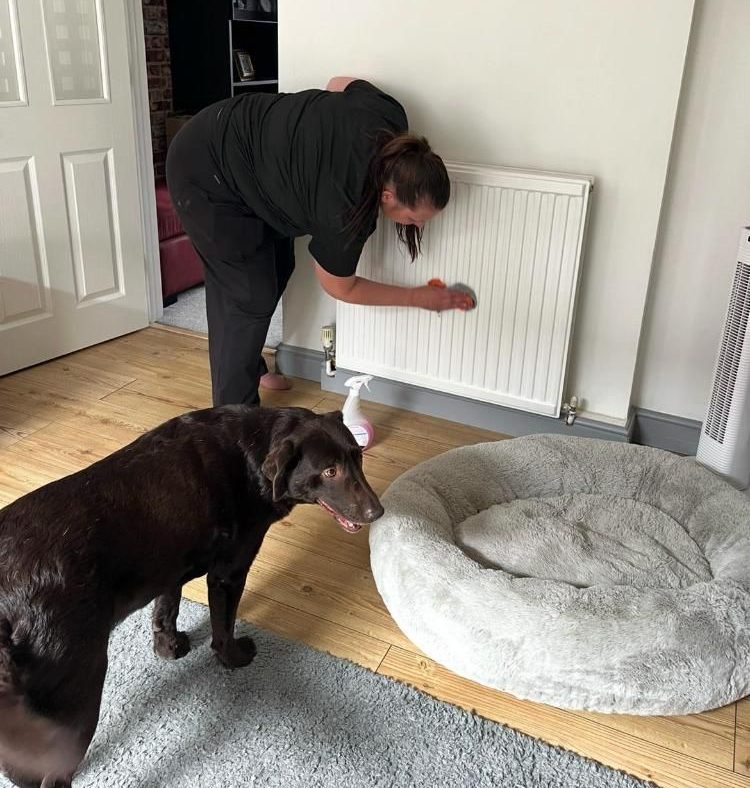 Lauren A person adjusts a radiator while a brown dog stands nearby, looking curious.